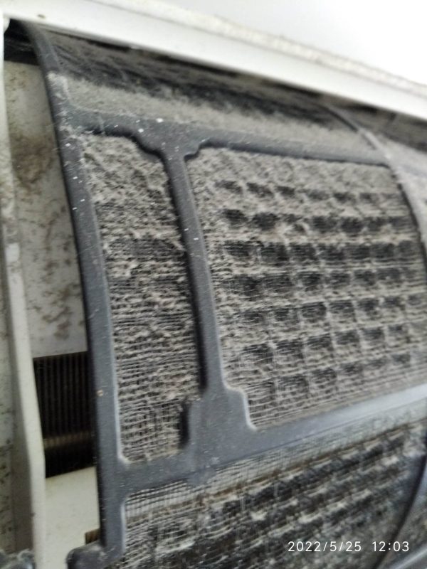 339996186_522137749887936_8320471705921653490_n