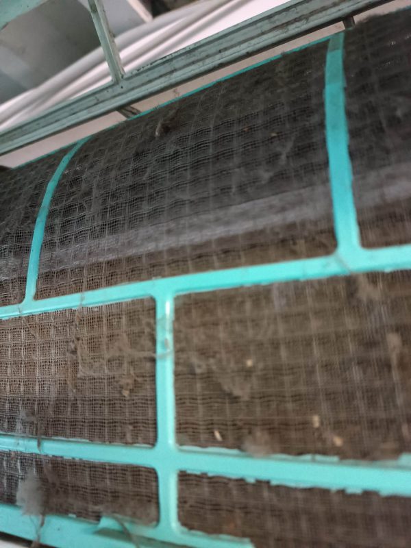 340418029_665230042076493_9006030724100128720_n