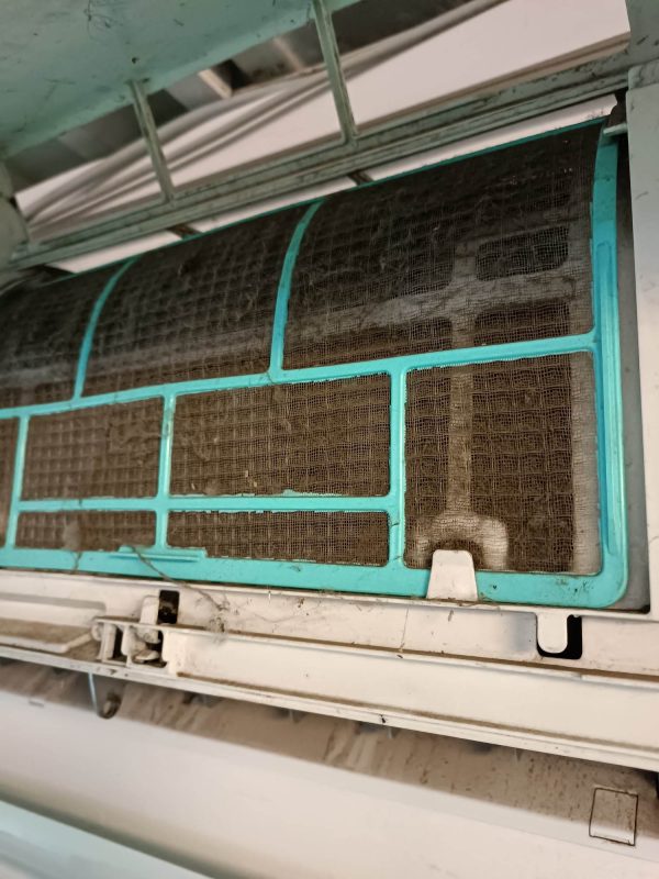 341004256_772440190961784_5545950208498057567_n