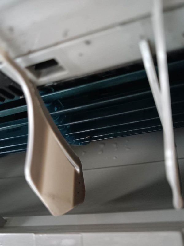 341009693_621375033207839_9056333664297173012_n